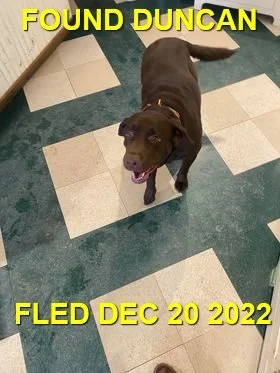 HAPPY ENDINGS - DUNCAN BC.  / COCO / DEC. 20, 2022