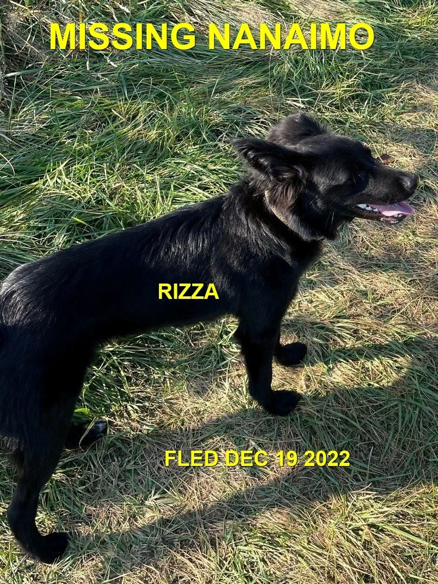 HAPPY ENDINGS - NANAIMO BC. / RIZZA / DEC. 19, 2022