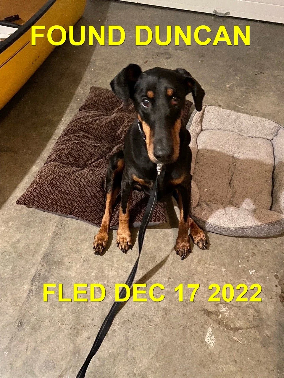 GONE TO SHELTER - N. COWICHAN BC. / DEC. 17, 2022