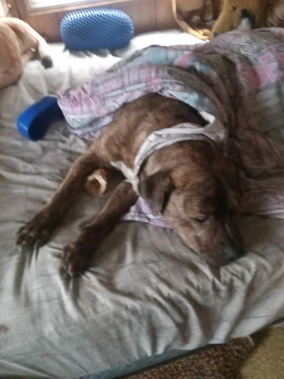 HAPPY ENDINGS - DUNCAN BC. / DEC. 16, 2022