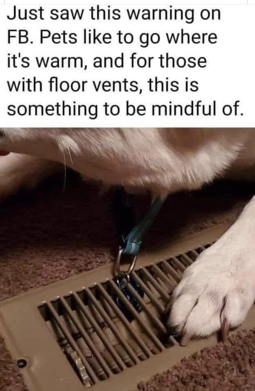 A PSA FOR ALL DOG OWNERS - JAN. 1, 2021
