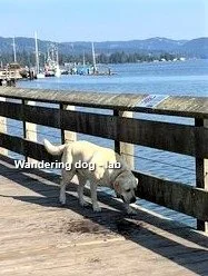 UNRESOLVED - SOOKE BC. / OCT. 9, 2022