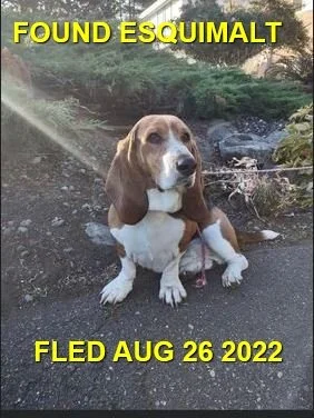 HAPPY ENDINGS - ESQUIMALT BC. / AUG. 26, 2022