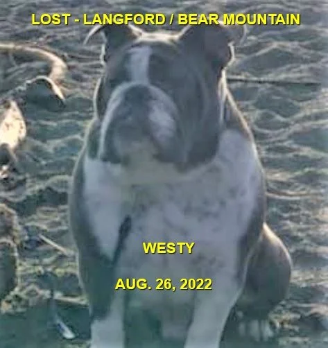 HAPPY ENDINGS - LANGFORD BC (BEAR MT.) / WESTY / AUG . 26, 2022