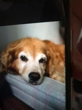 HAPPY ENDINGS - S. NANAIMO BC. / BREEZY / AUG. 25, 2022