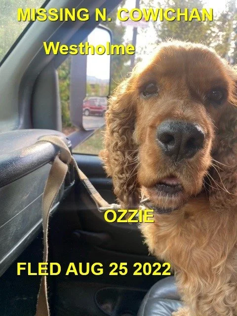 HAPPY ENDINGS - DUNCAN BC.  (WESTHOLME) / AUG. 25, 2022