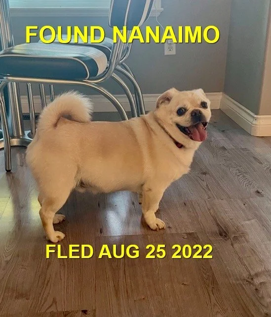 HAPPY ENDINGS - NANAIMO BC. / CHEVY /  AUG 25, 2022