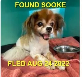 HAPPY ENDINGS - SOOKE BC. / AUG. 25, 2022