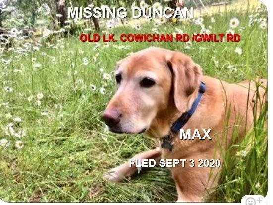 HAPPY ENDINGS - DUNCAN BC. / MAX / SEPT 3, 2020