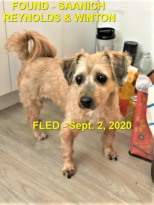 HAPPY ENDINGS - SAANICH BC. / SEPT. 2, 2020