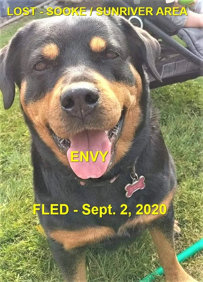 HAPPY ENDINGS - SOOKE BC. / ENVY / AUG. 3, 2020