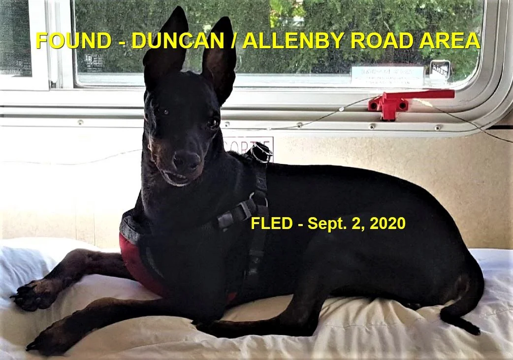 HAPPY ENDINGS - DUNCAN BC. / SEPT. 1, 2020