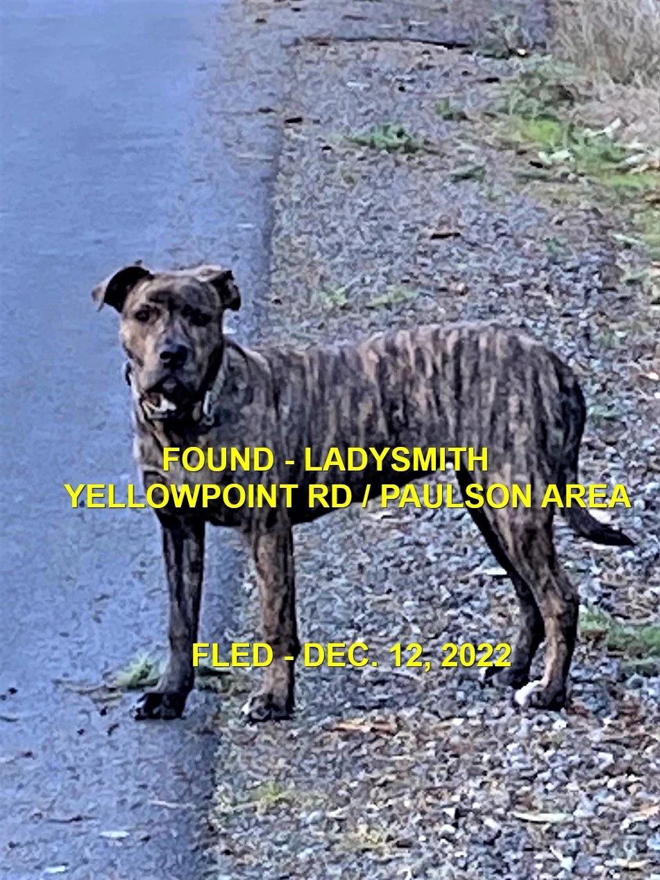 UNRESOLVED - LADYSMITH BC. / DEC. 12, 2022