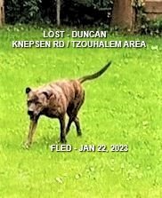 HAPPY ENDINGS - DUNCAN BC. / MINDY / JAN. 18, 2023