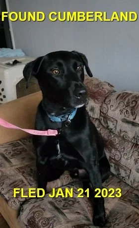 HAPPY ENDINGS - CUMBERLAND BC. / TRACKER / JAN. 21, 2023