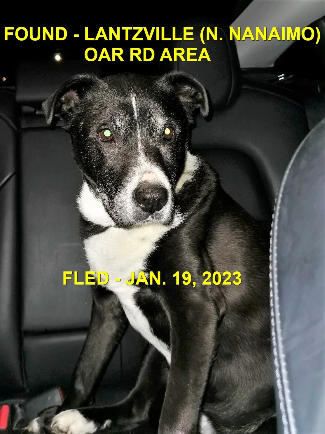 HAPPY ENDINGS - LANTZVILLE BC. / JAN. 19, 2023