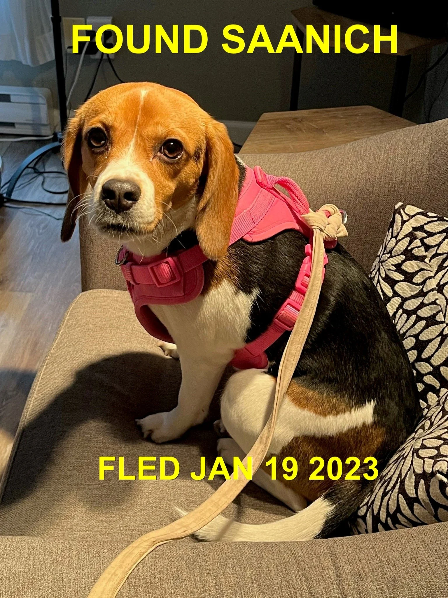 HAPPY ENDINGS - SAANICH BC. / JAN 19, 2023