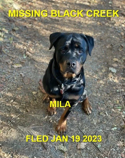 TOOK HERSELF HOME - BLACK CREEK BC / MILA / JAN 18, 2023