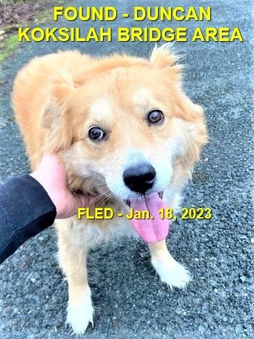 HAPPY ENDINGS - DUNCAN BC. / JAN. 18, 2023