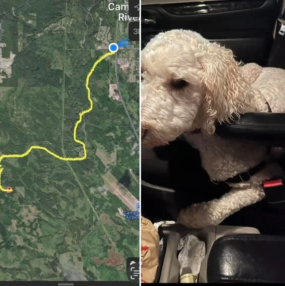 HAPPY ENDINGS - CAMPBELL RIVER BC. / MAGGIE / JAN 18, 023