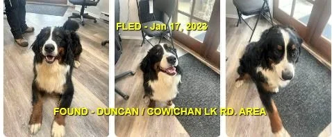 HAPPY ENDINGS - DUNCAN / RYLEE / JAN 17, 2023