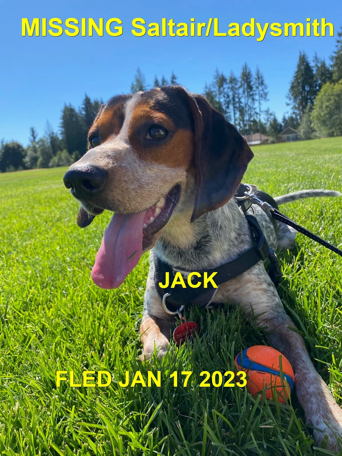 HAPPY ENDINGS - LADYSMITH BC. / JACK / JAN 17, 2023