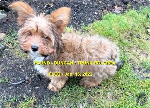 HAPPY ENDINGS - DUNCAN BC. / JAN 16, 2023