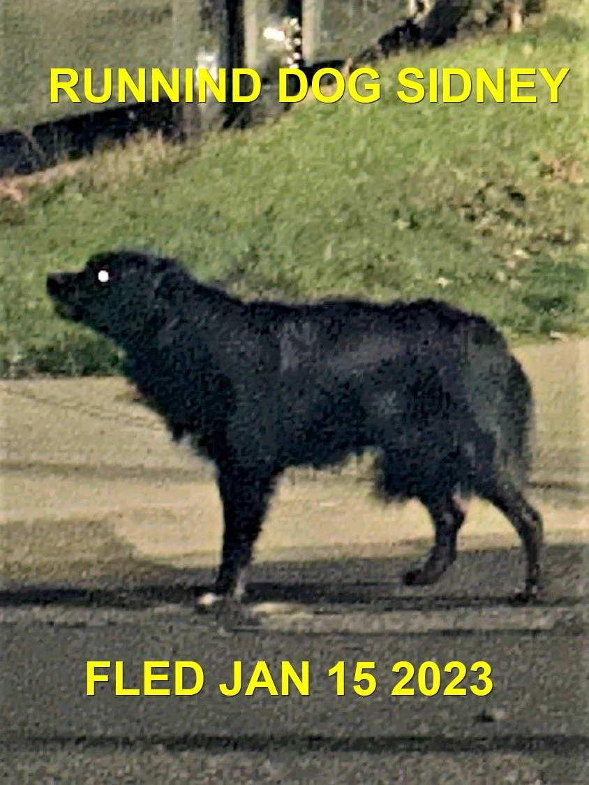 HAPPY ENDINGS - SIDNEY BC. / JAN 15, 2023