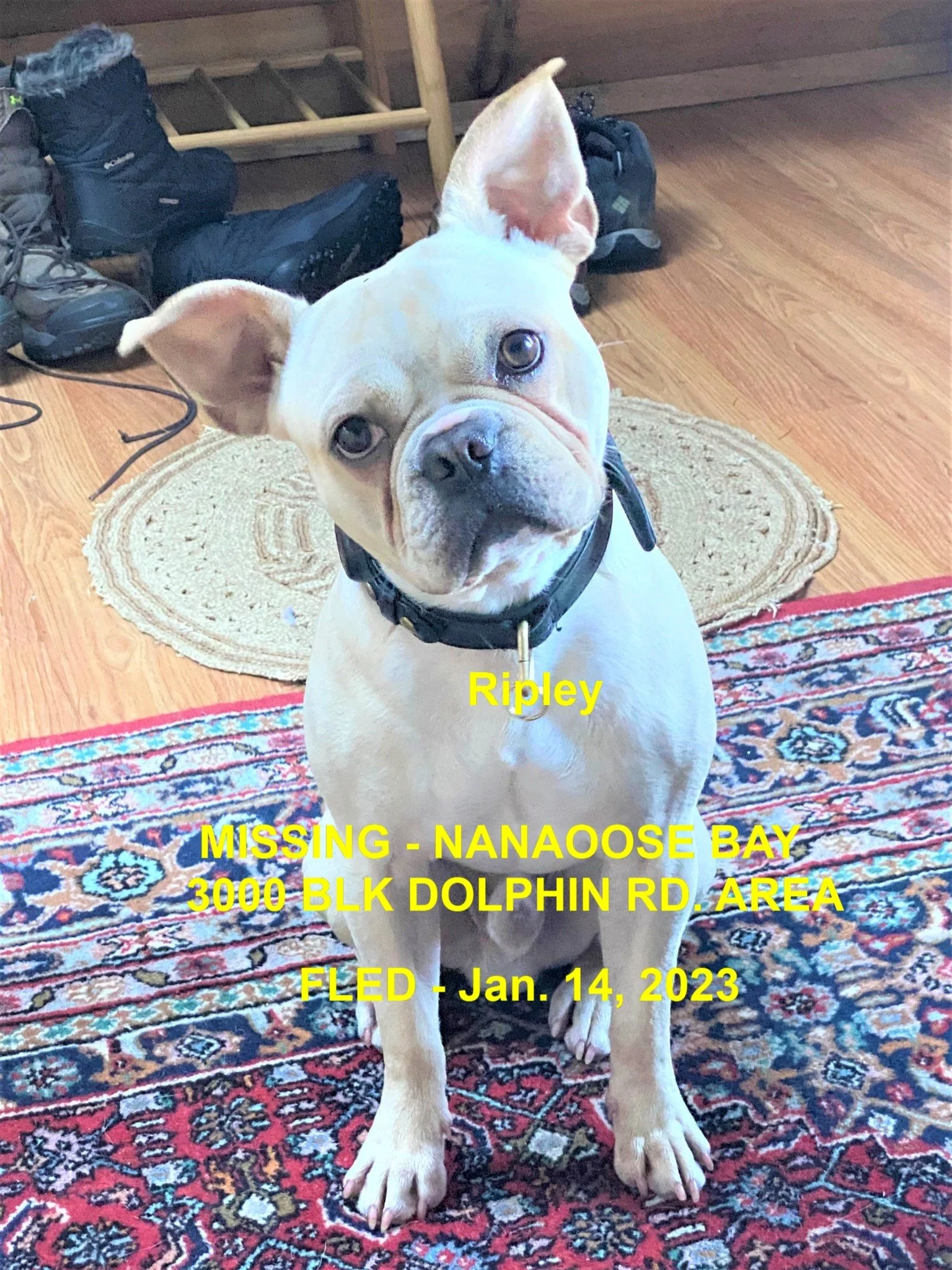 HAPPY ENDINGS - NANOOSE BAY BC. / RIPLEY / JAN 14, 2023