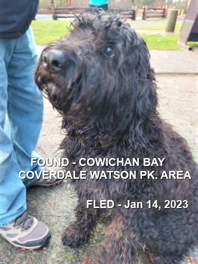 HAPPY ENDINGS - COWICHAN BAY BC. / JAN 14, 2023