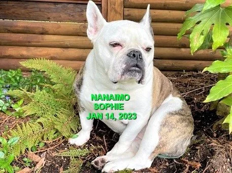 HAPPY ENDINGS - NANAIMO BC. / SOPHIE / JAN 14, 2023
