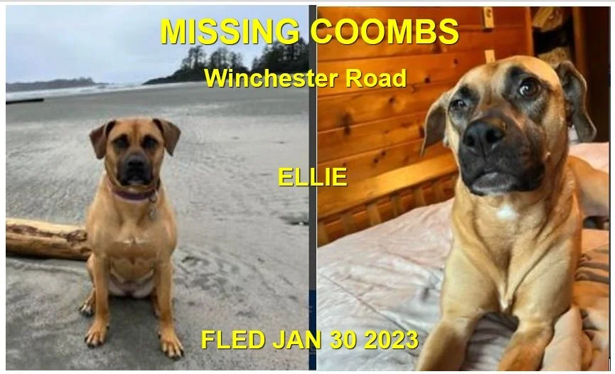 HAPPY ENDINGS - COOMBS BC / ELLIE / JAN. 30, 2023