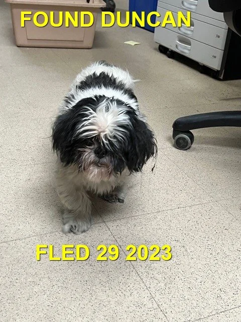 HAPPY ENDINGS - DUNCAN BC / DEXTER / JAN 29, 2023