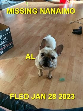 HAPPY ENDINGS - NANAIMO BC. / AL / JAN 29, 2023