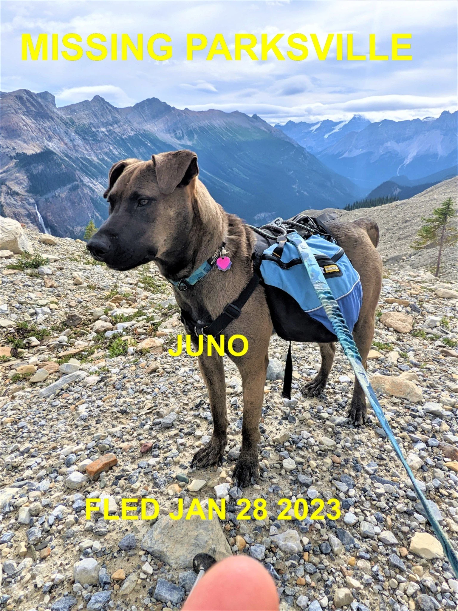 HAPPY ENDINGS - PARKSVILLE BC. / JUNO / JAN 28, 2023