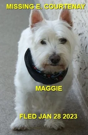 HAPPY ENDINGS - COURTENAY BC. / SENIOR MAGGIE / JAN 28, 2023