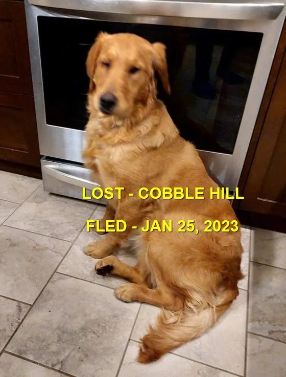 HAPPY ENDINGS - COBBLE HILL BC. / POPPY / JAN 25, 2023