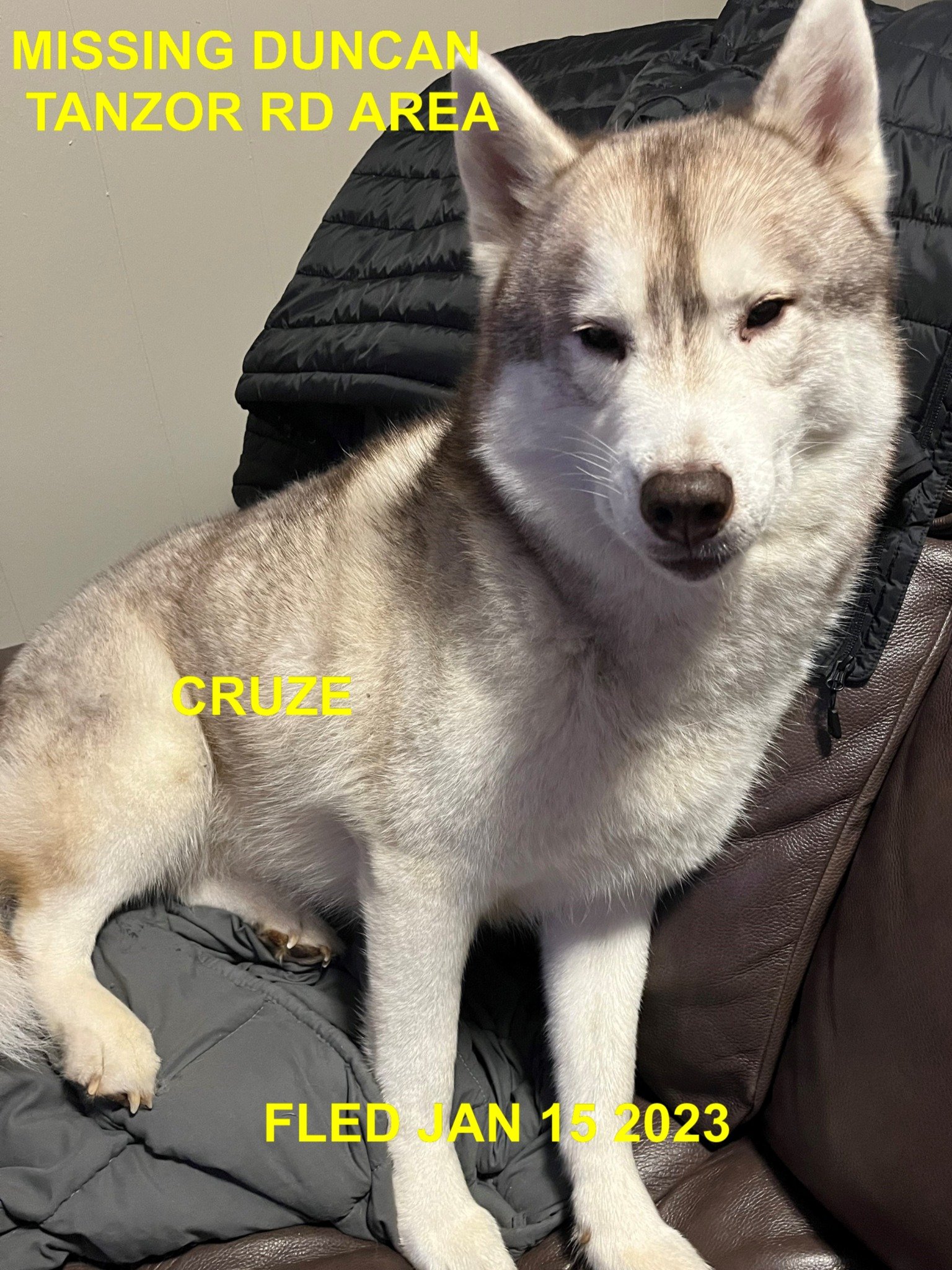 HAPPY ENDINGS - DUNCAN BC. / CRUZE / JAN 24, 2023