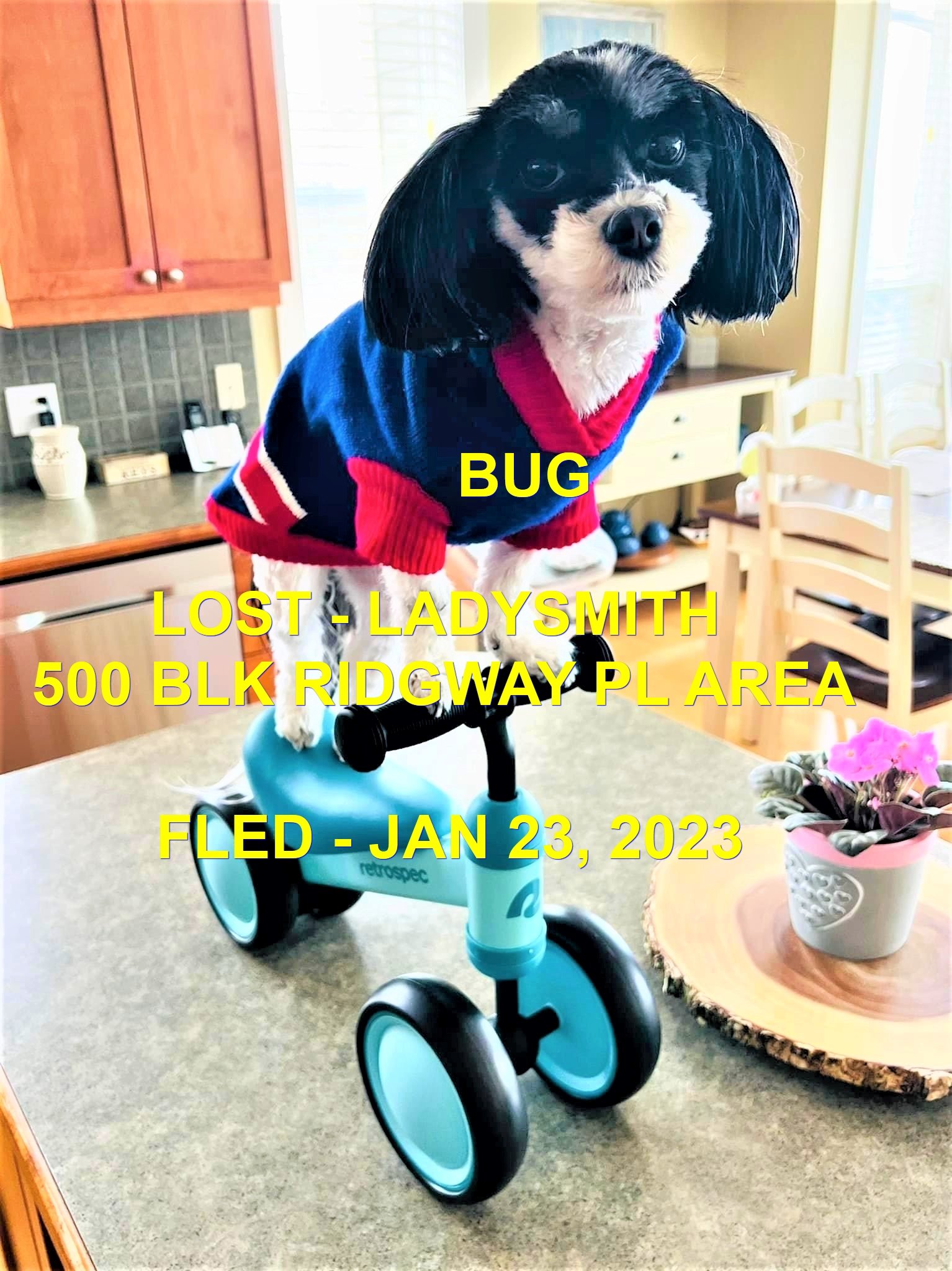 HAPPY ENDINGS - LADYSMITH BC. / BUG / JAN 23, 2023