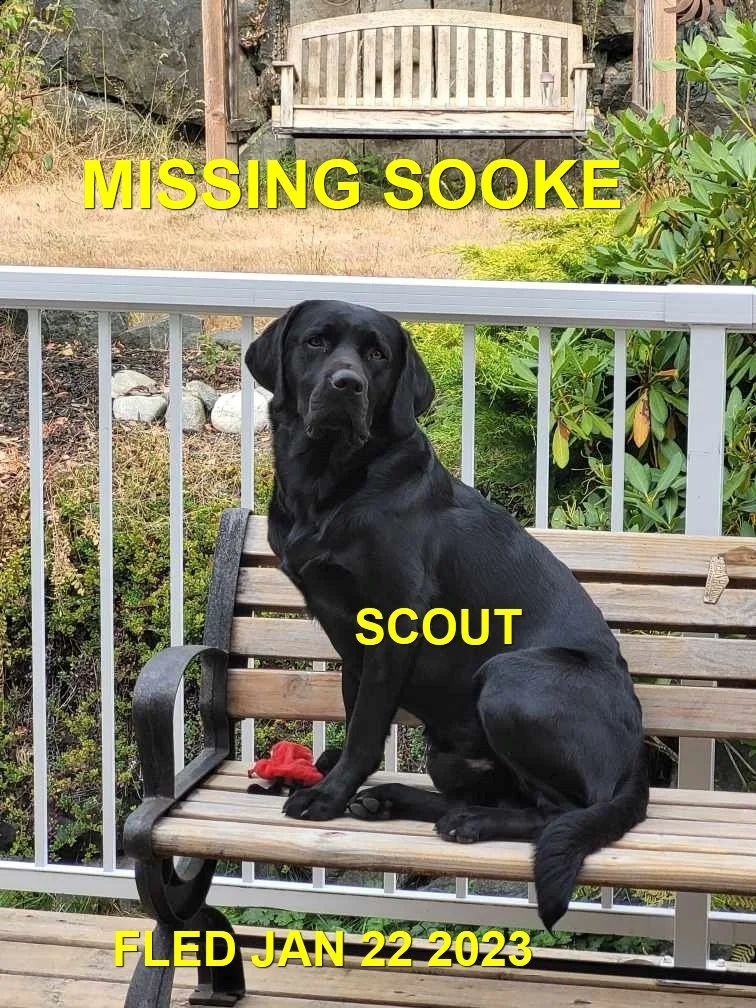 HAPPY ENDINGS - SOOKE BC. / SCOUT / JAN 22, 2023