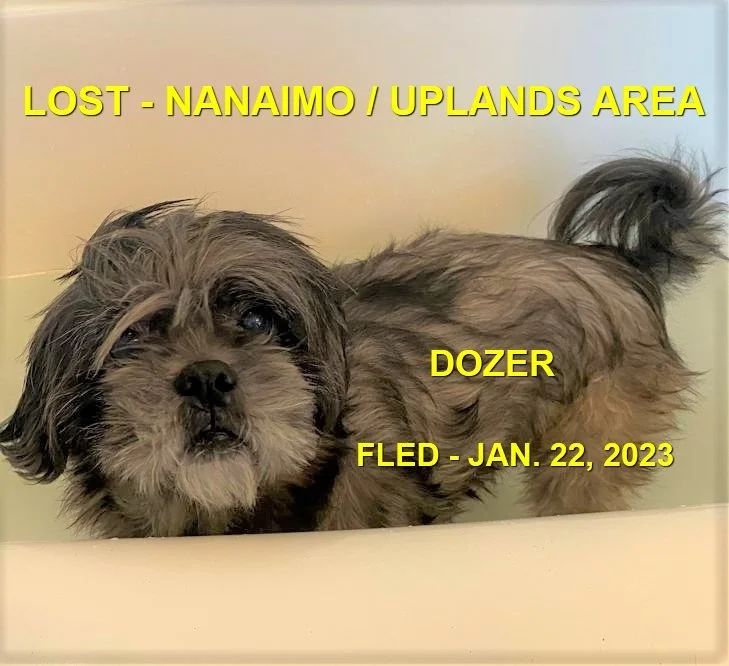 HAPPY ENDINGS - NANAIMO BC. / DOZER / JAN. 22, 2023