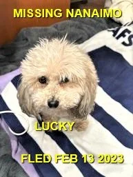 HAPPY ENDINGS - NANAIMO BC. / LUCKY / FEB. 13, 2023