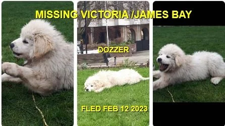 HAPPY ENDINGS - VICTORIA BC. / DOZZER / FEB. 12, 2023