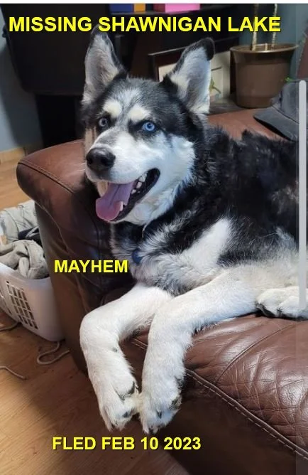 HAPPY ENDINGS - SHAWNIGAN LAKE BC. / MAYHEM / FEB. 10, 2023