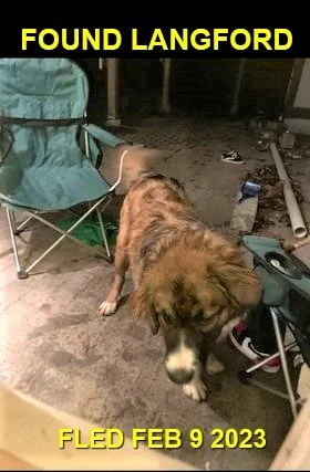 GONE TO SHELTER - LANGFORD BC. / FEB. 9, 2023