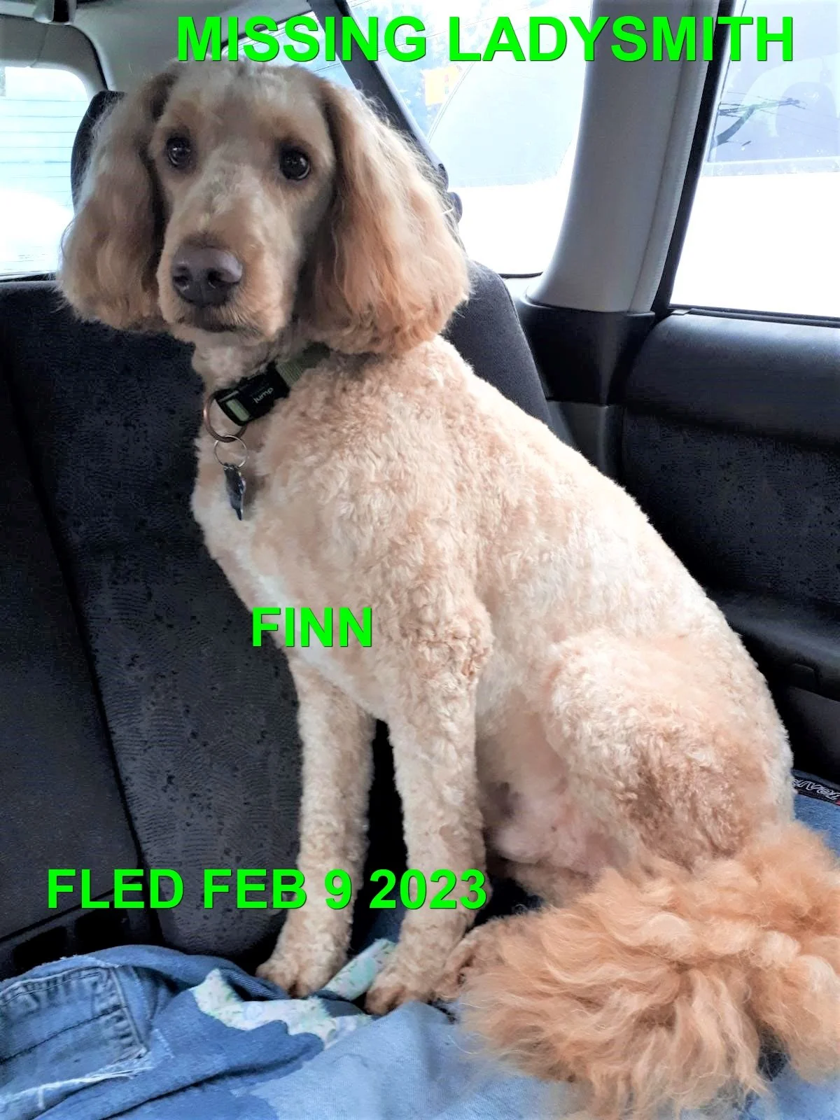 HAPPY ENDINGS - LADYSMITH BC. / FINN / FEB 9, 2023