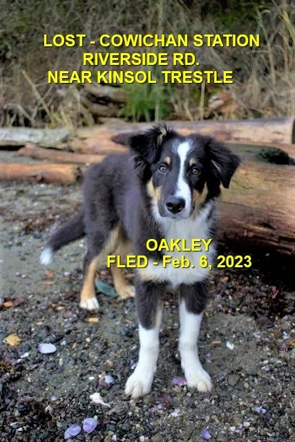 HAPPY ENDINGS - COWICHAN STATION BC. / OAKLEY / FEB 6, 2023