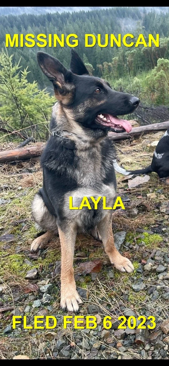 HAPPY ENDINGS - DUNCAN BC. / LAYLA / FEB. 6, 2023