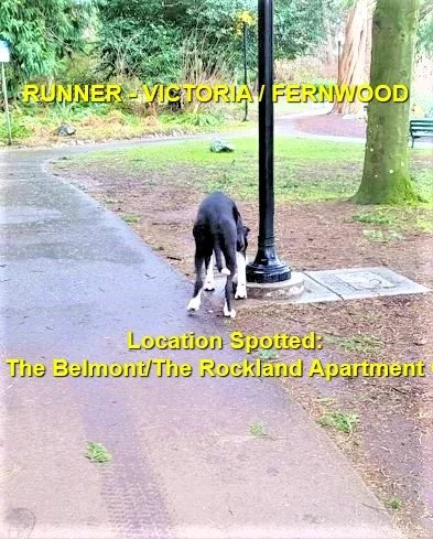 HAPPY ENDINGS - OAK BAY BC. / KONA / FEB 5, 2023