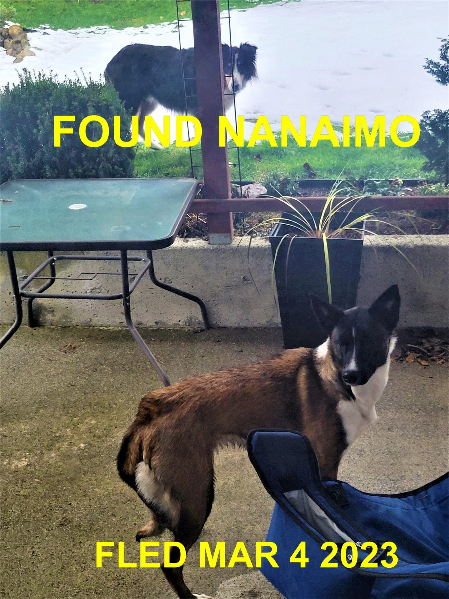 HAPPY ENDINGS - NANAIMO BC. / MAR. 4, 2023